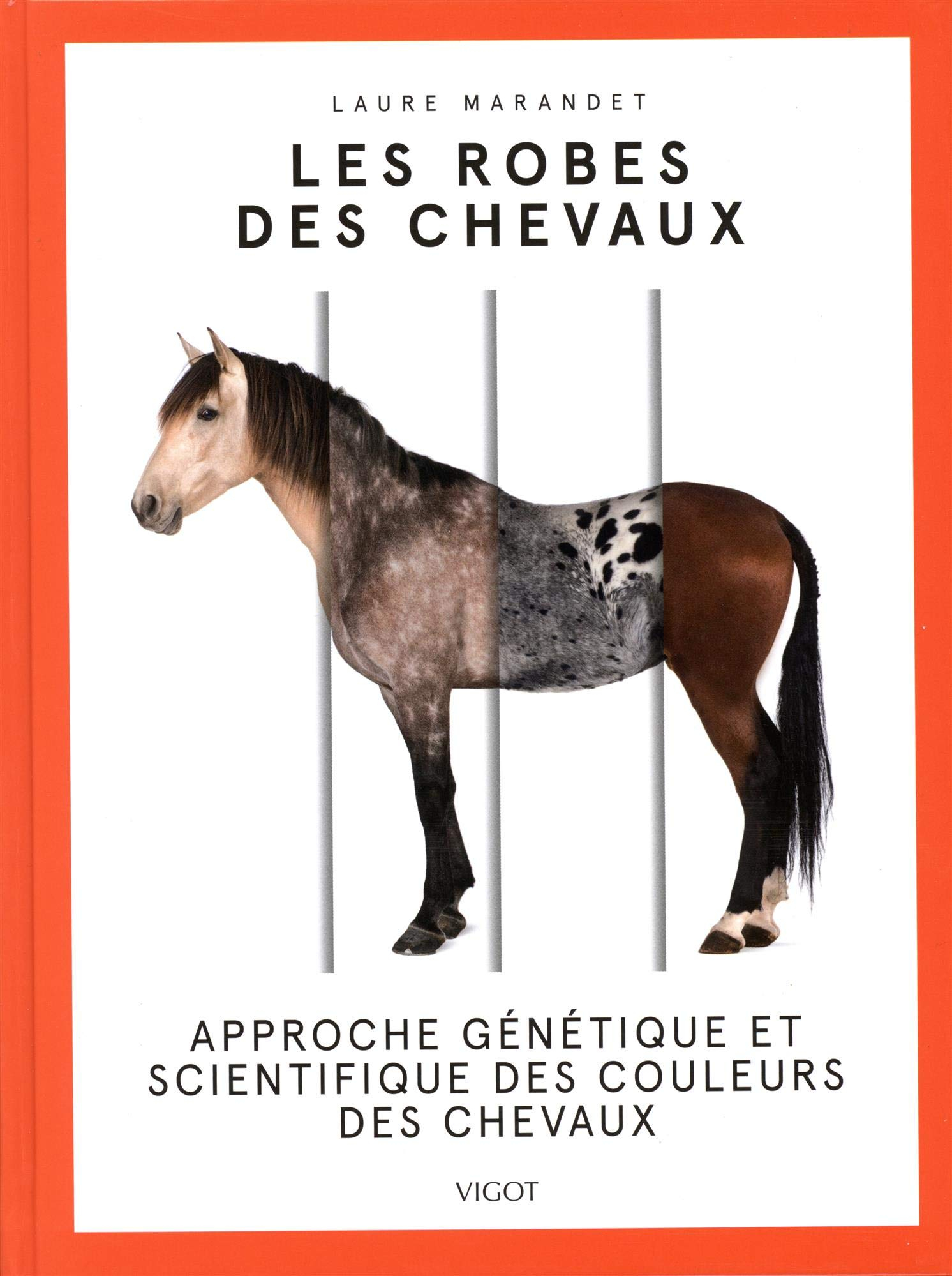 Les robes des chevaux : approche génétique et scientifique des couleurs des chevaux