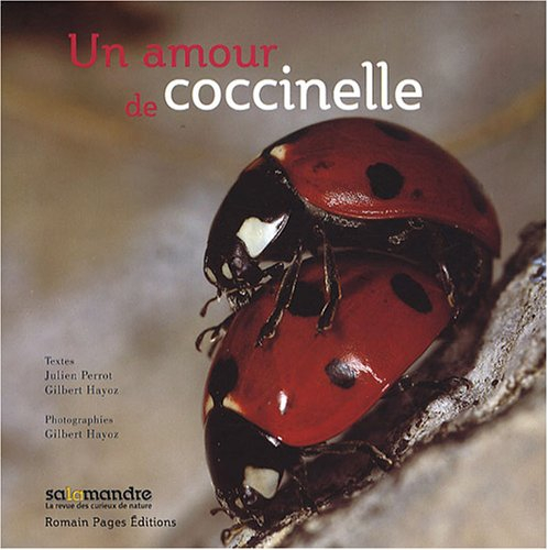 Un amour de coccinelle