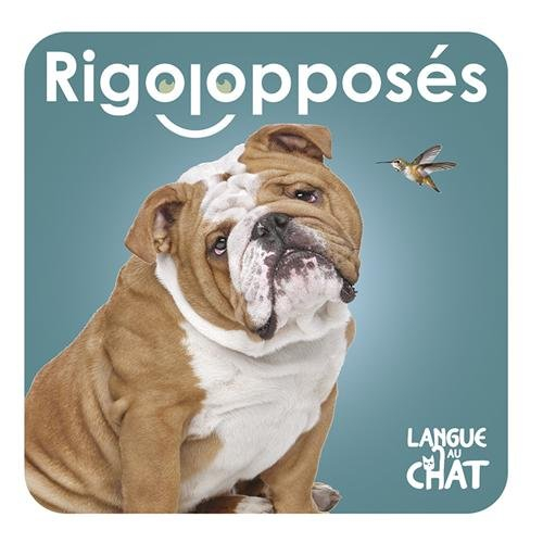 Rigolopposés : bleue