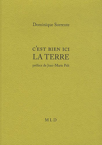 C'est bien ici la Terre