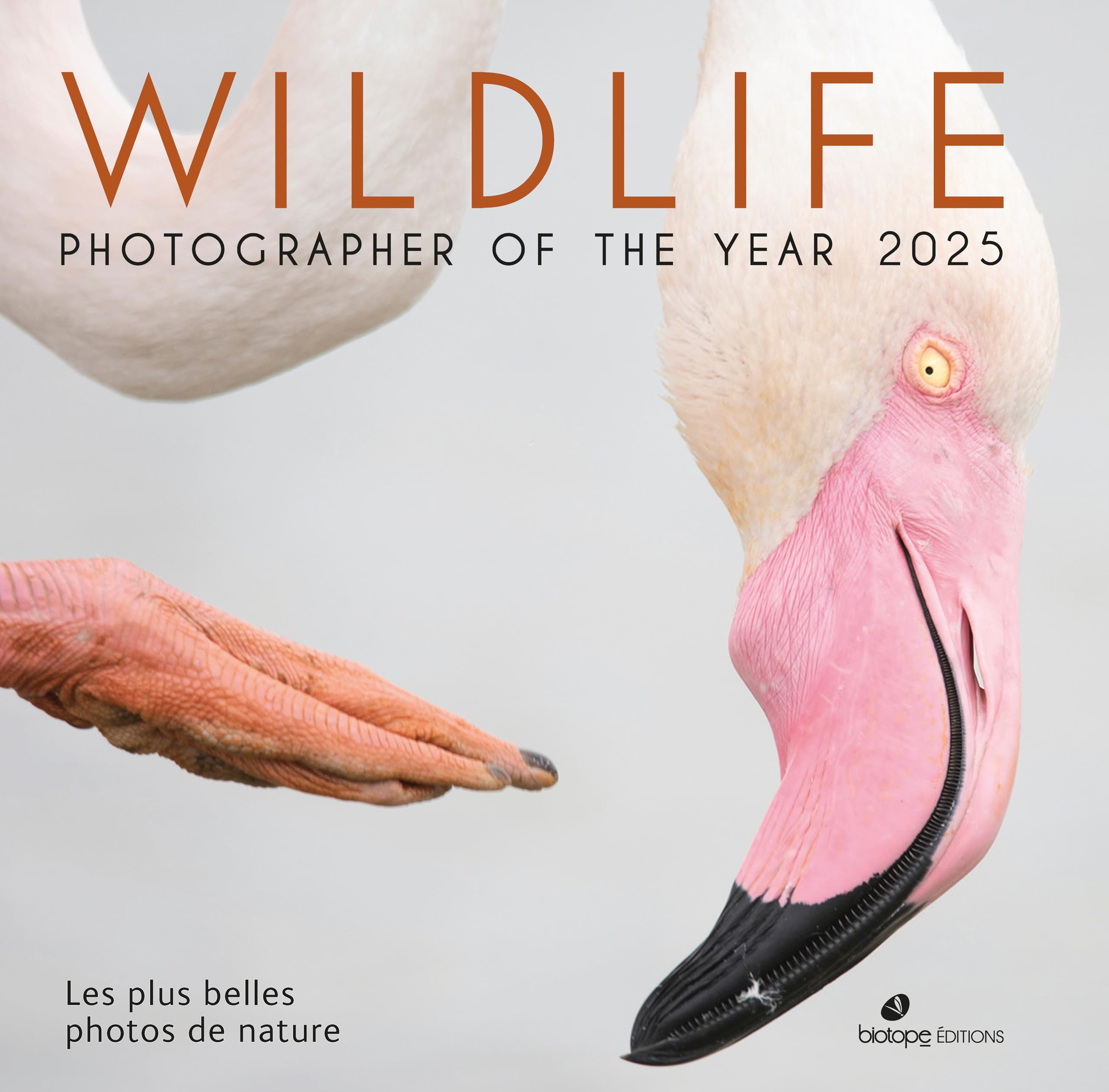 Wildlife photographer of the year 2025 : les plus belles photos de nature