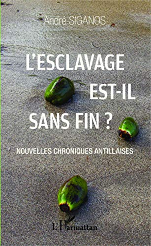 L'esclavage est-il sans fin ? : nouvelles chroniques antillaises