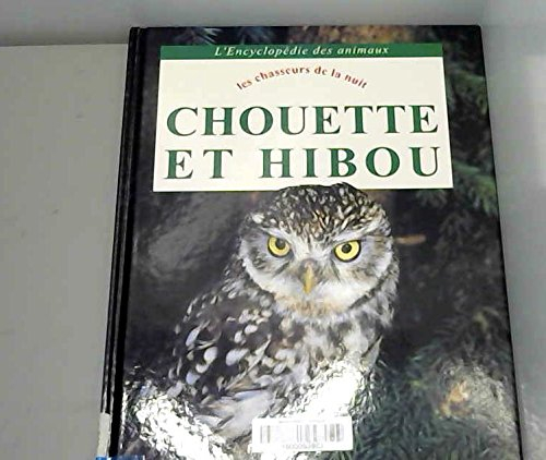 Chouette et hibou : les chasseurs de la nuit