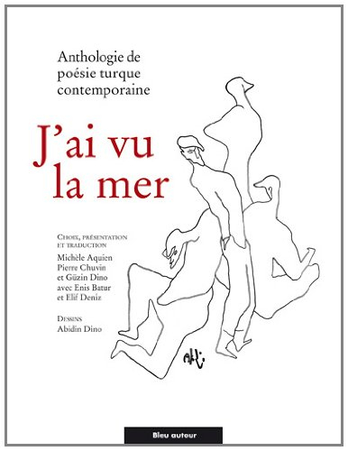 J'ai vu la mer : anthologie de poésie turque contemporaine