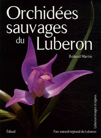 Orchidées sauvages du Luberon
