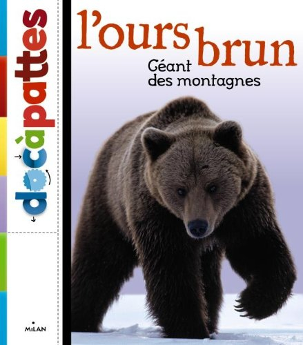 L'ours brun : géant des montagnes