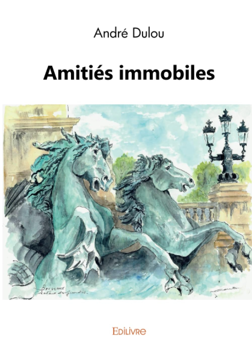 Amitiés immobiles