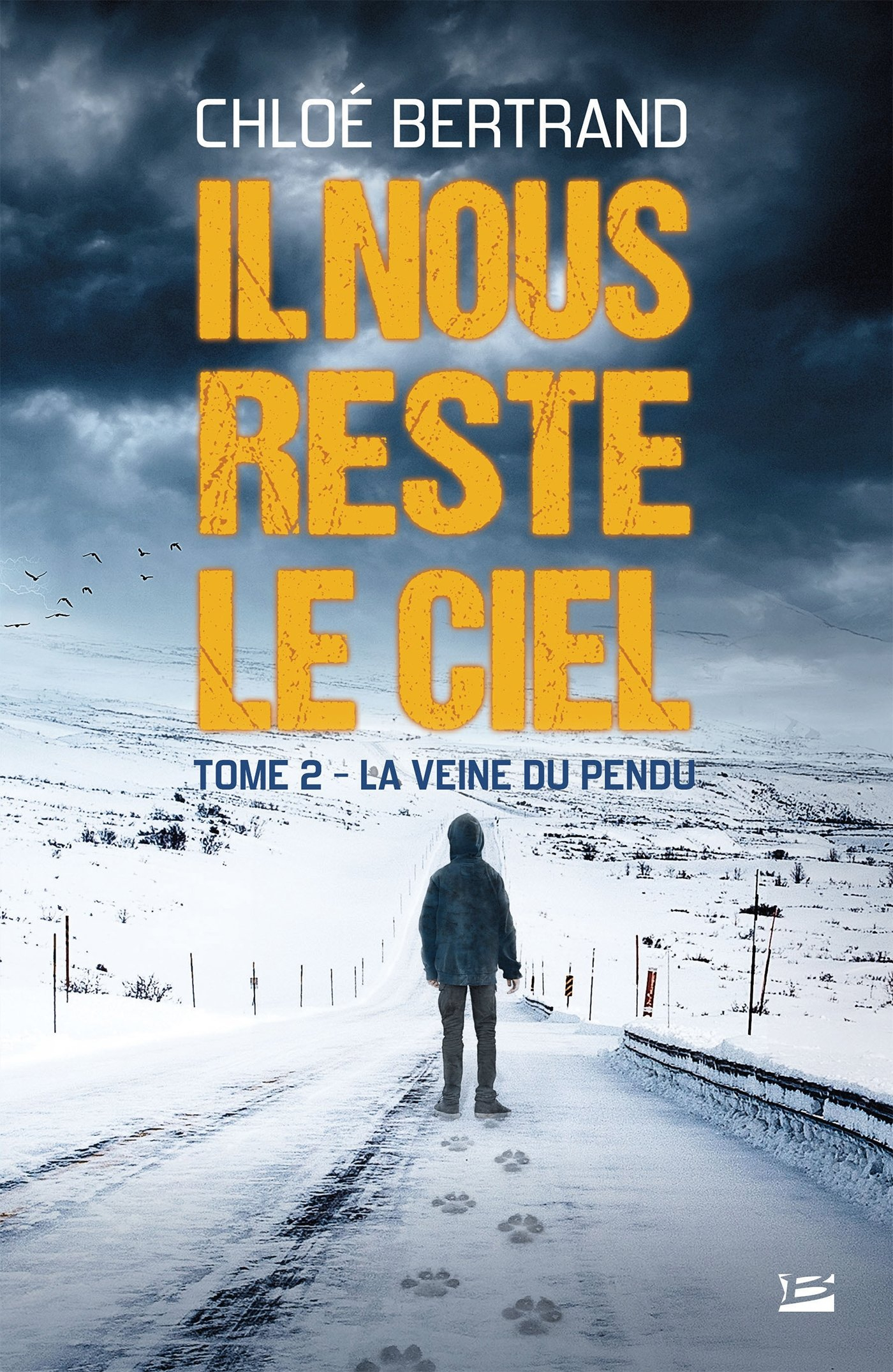 Il nous reste le ciel. Vol. 2. La veine du pendu