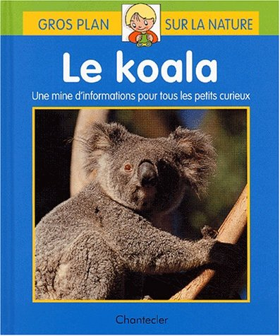 Le koala : une mine d'informations pour tous les petits curieux
