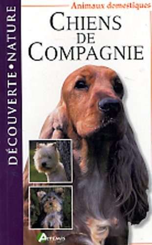 Chiens de compagnie