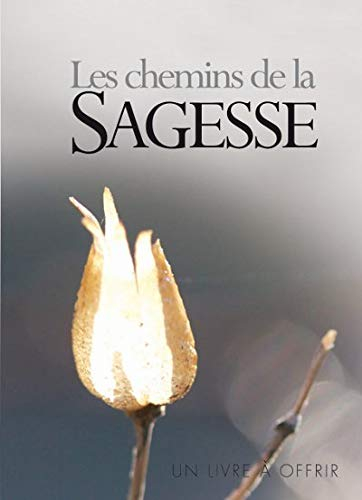 Les chemins de la sagesse : grand format