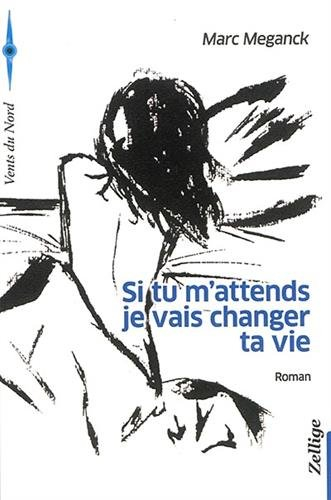 Si tu m'attends je vais changer ta vie