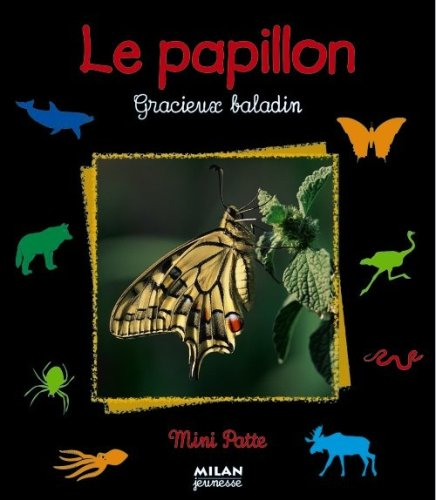papillon gracieux baladin