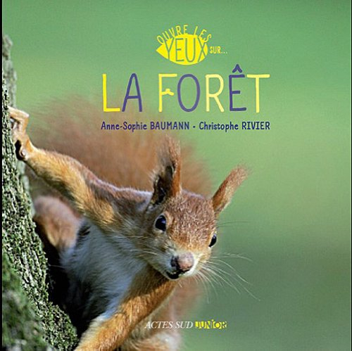 La forêt