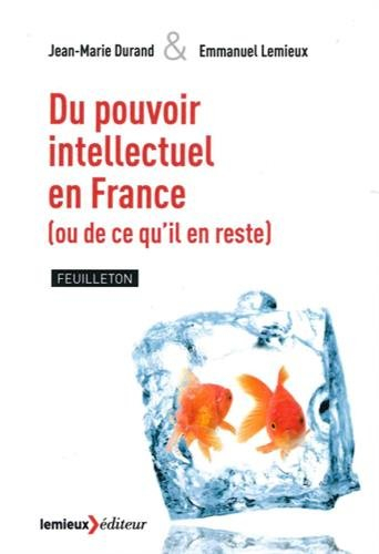 Du pouvoir intellectuel en France (ou de ce qu'il en reste) : feuilleton