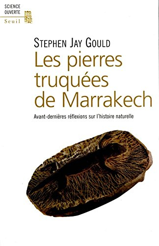 Les pierres truquées de Marrakech : avant-dernières réflexions sur l'histoire naturelle