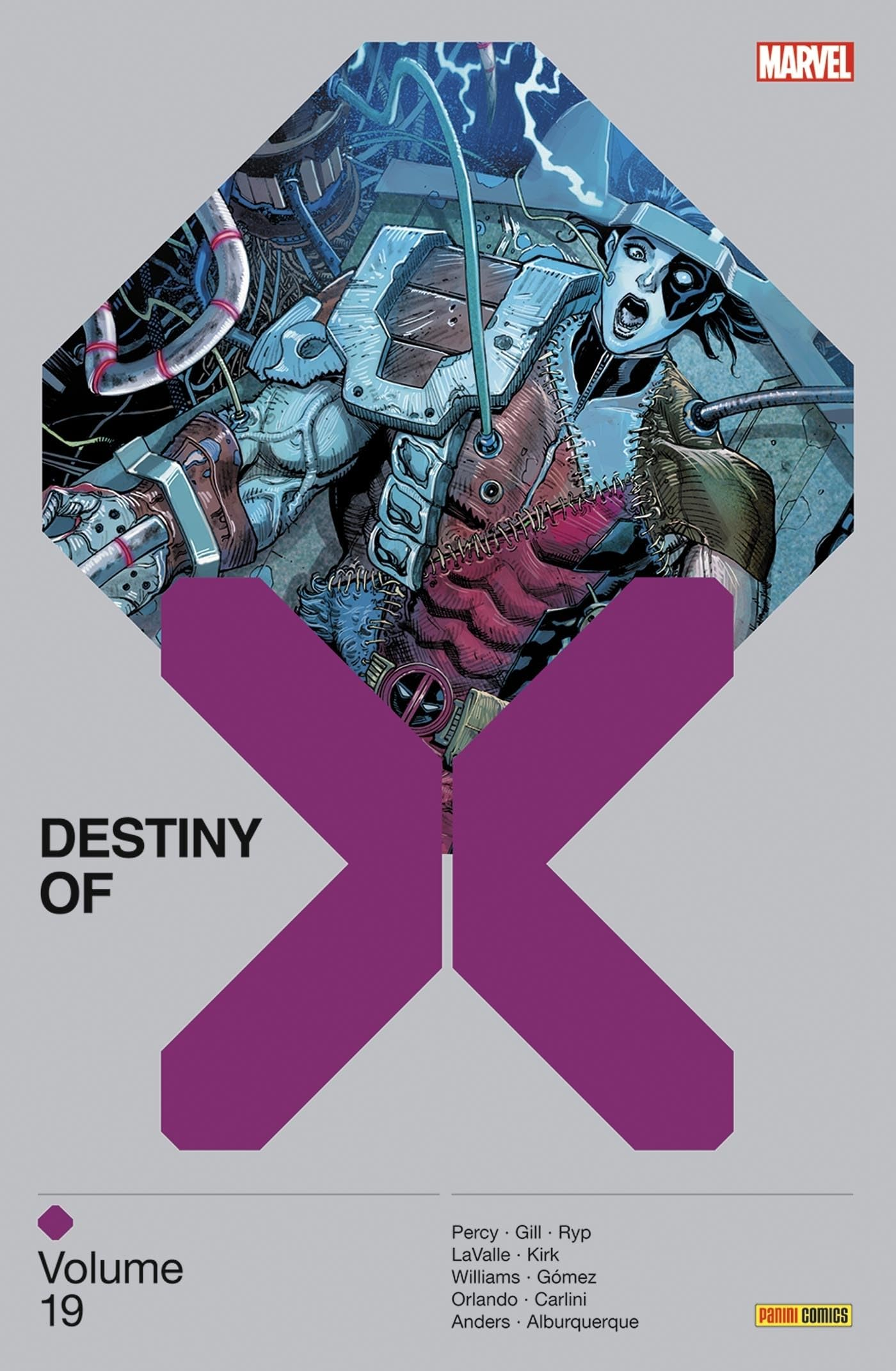 Destiny of X. Vol. 19