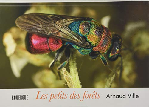 Les petits des forêts