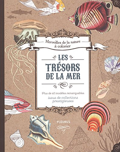 Les trésors de la mer : plus de 40 modèles remarquables issus de collections prestigieuses