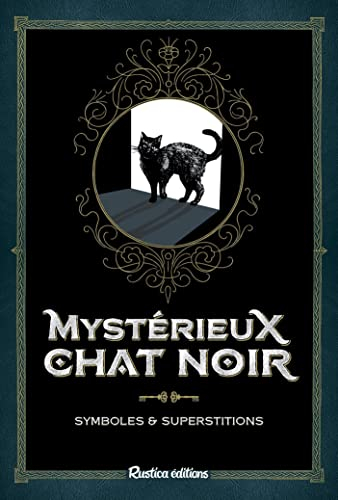 Mystérieux chat noir : symboles & superstitions