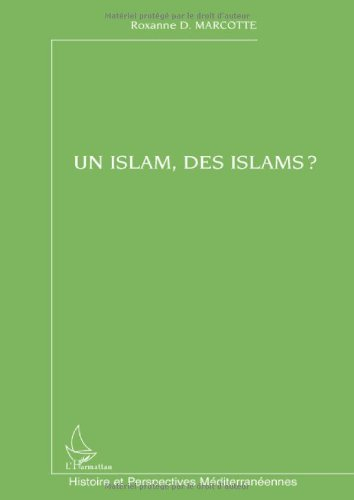 Un islam, des islams ?