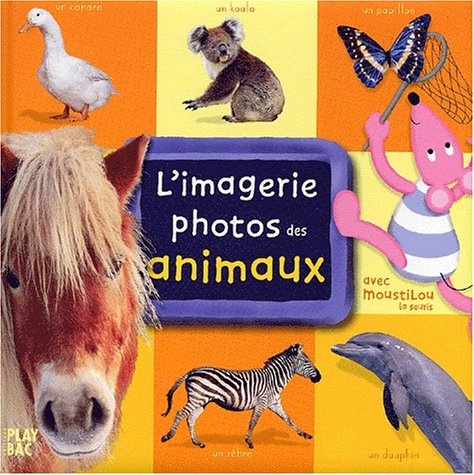 L'imagerie photos des animaux : avec Moustilou la souris