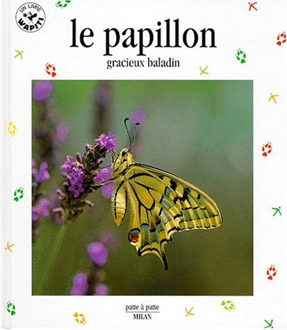 Le papillon : gracieux baladin