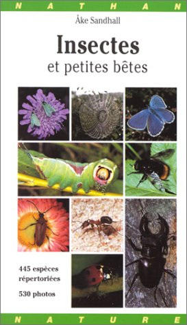 Insectes et petites bêtes