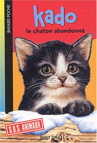 kado, le chaton abandonné