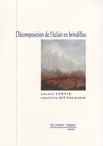 Décomposition de l'éclair en brindilles